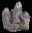 Cactus Quartz (Amethyst) Crystal Cluster - South Africa #64226-1